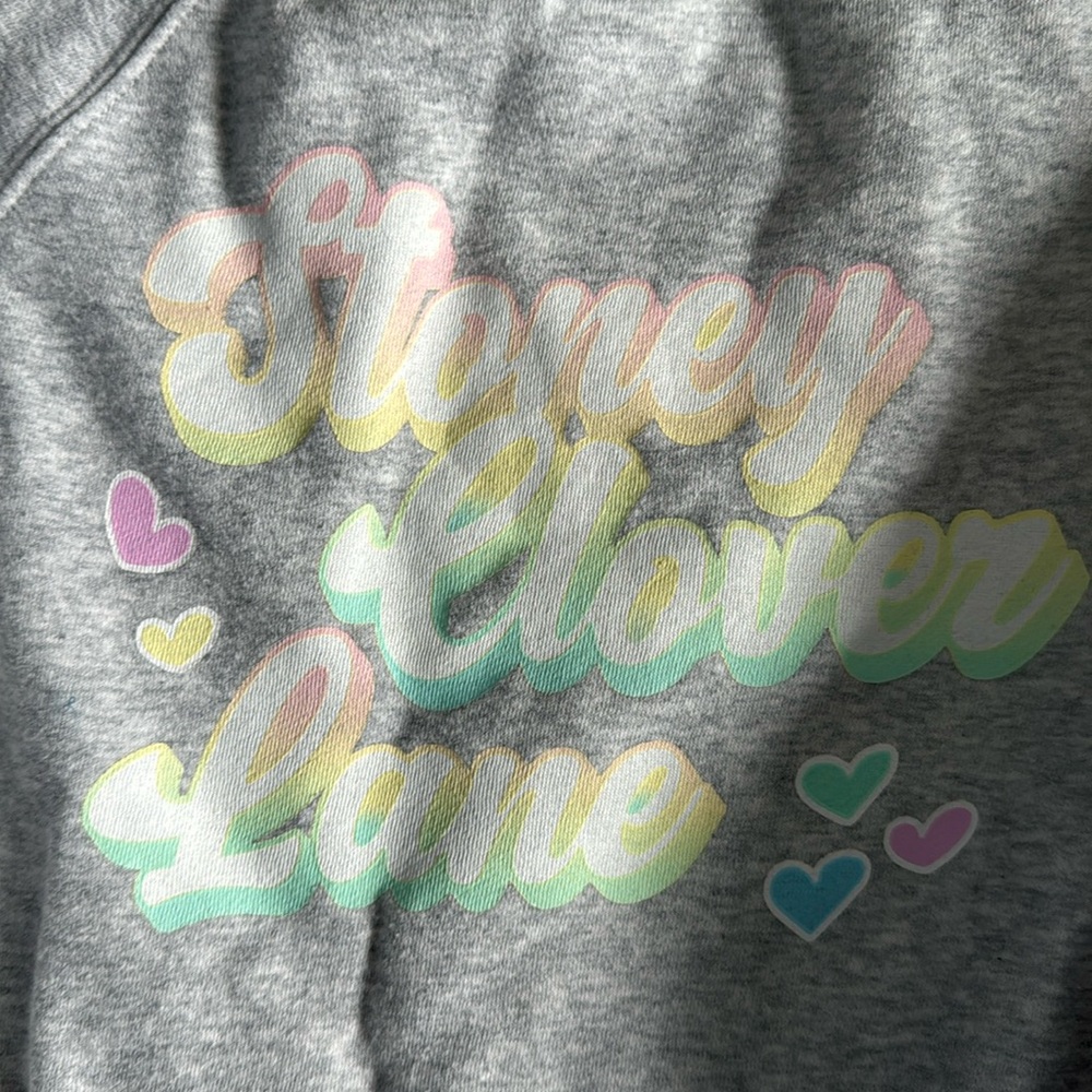 SC sweatshirt